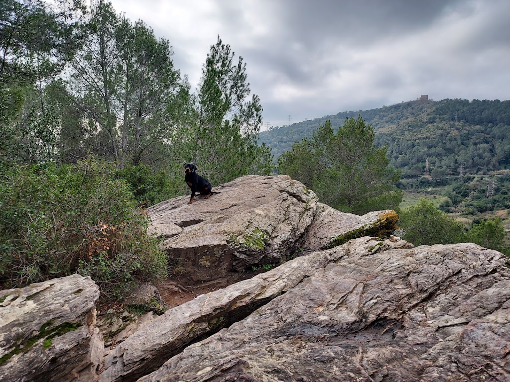 La Roca Negra