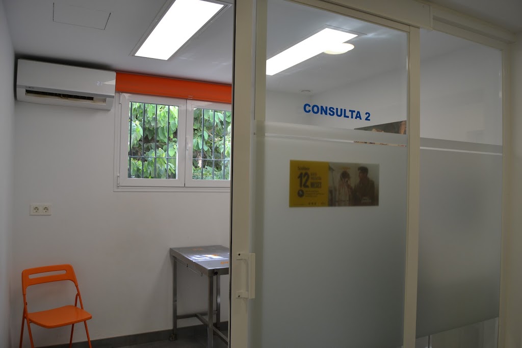 Clinica Veterinaria Ana Morales Loriguillo — Del propietario