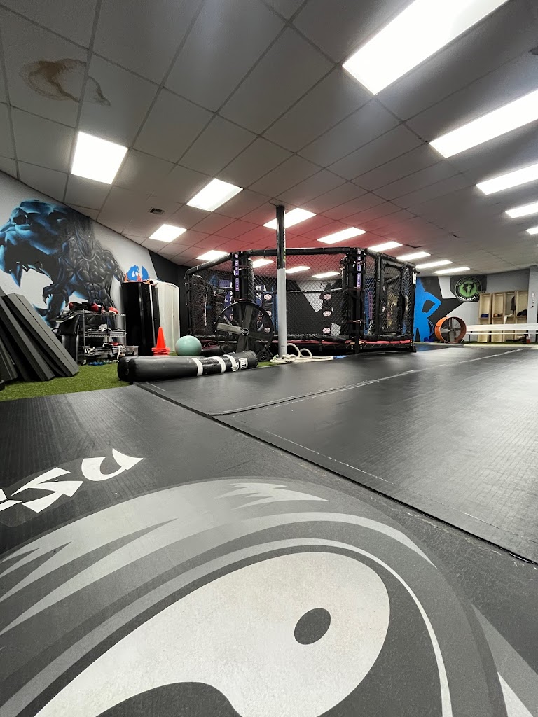  Team One Mixed Martial Arts