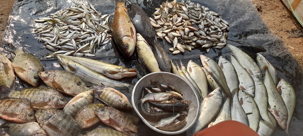 Nishad Fish Centre