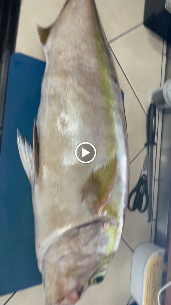Restaurante Lucy — Videos