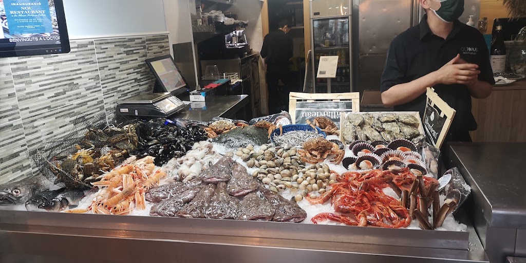 Octopus Pompeu Fabra — Ambiente
