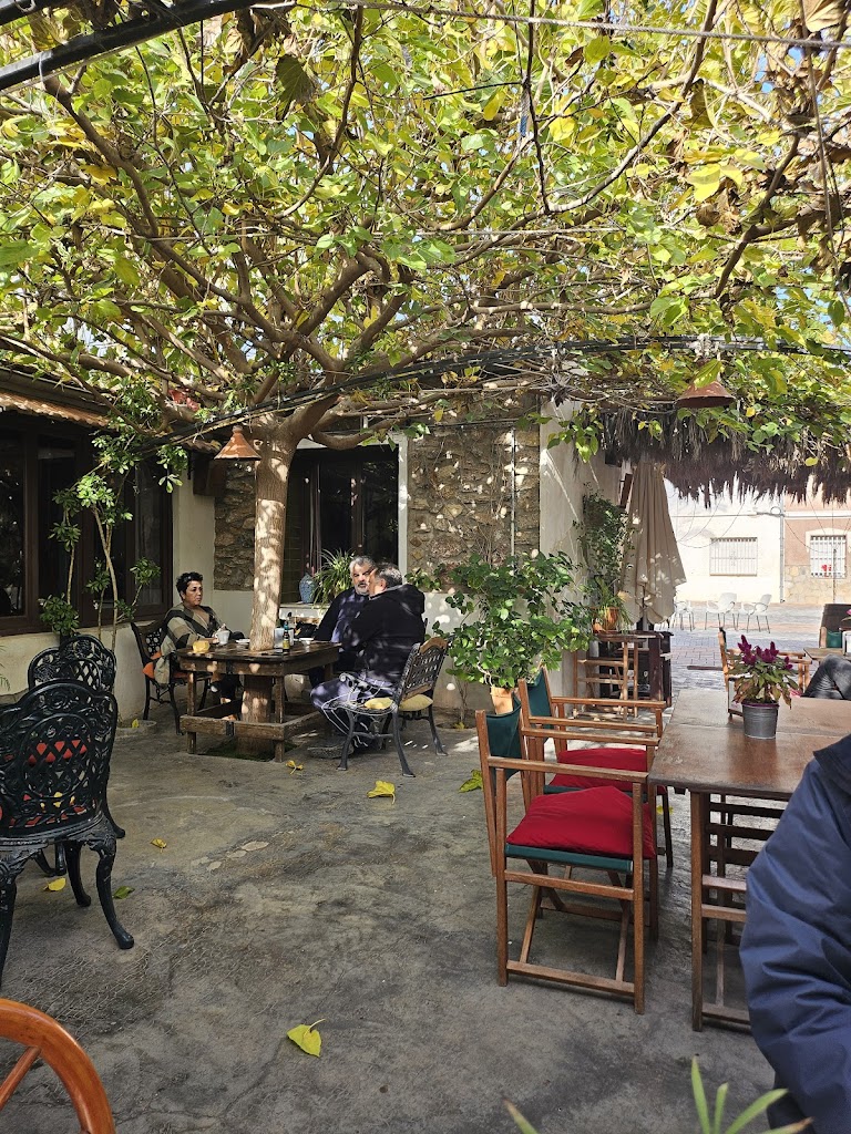 Teteria - Cafeteria "La Casa Vieja"