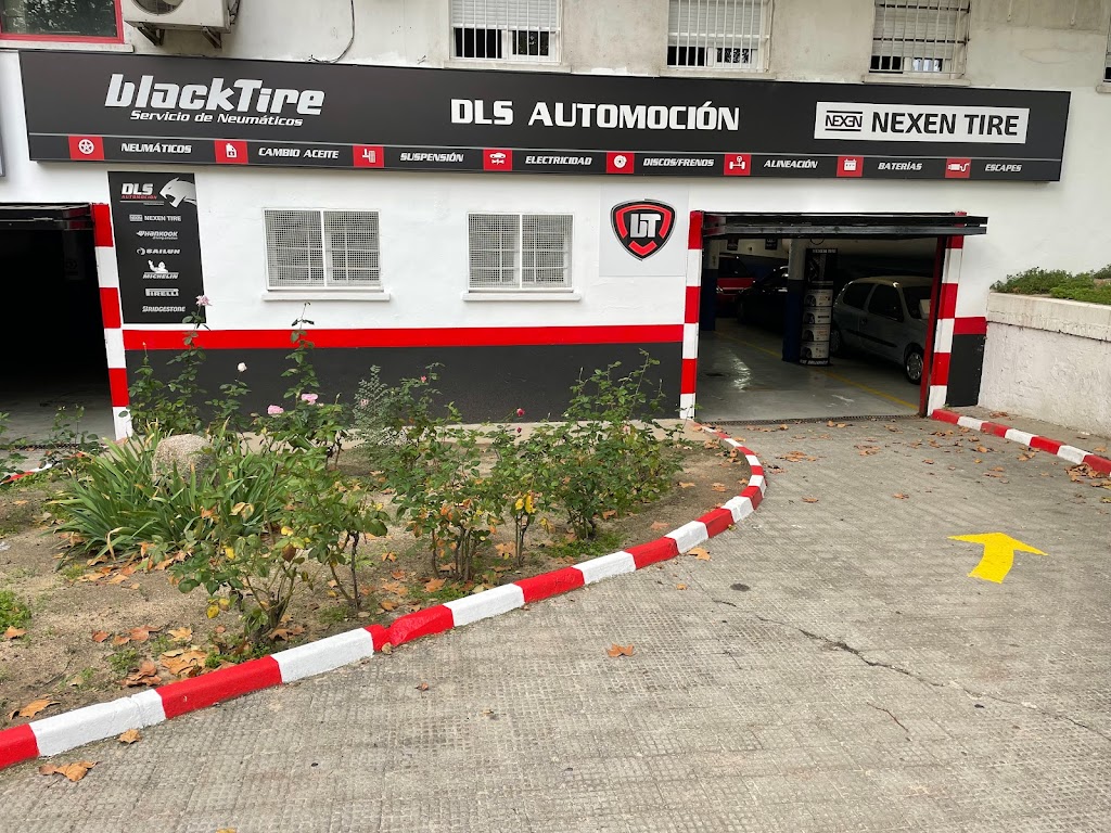 Dls Automocion