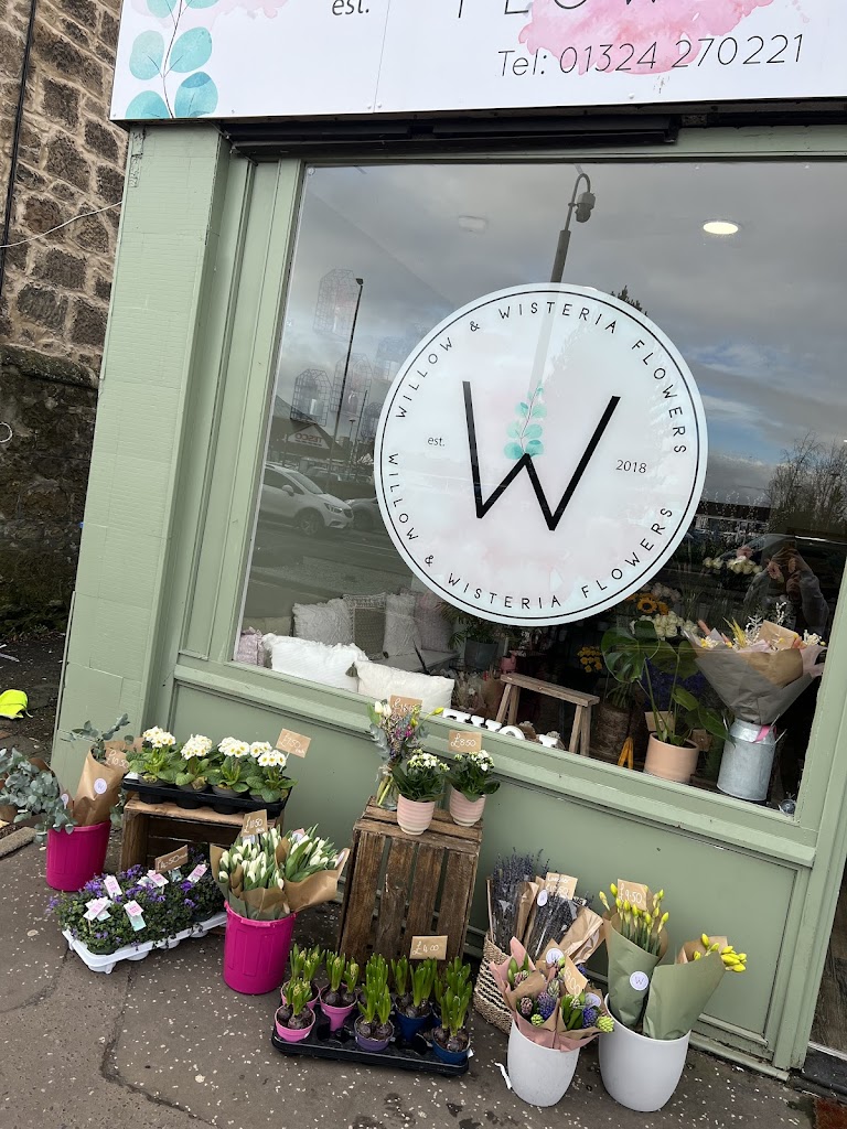 Willow & Wisteria Flowers
