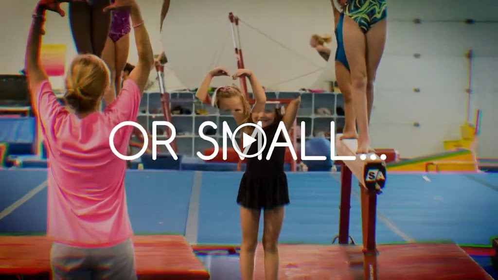  Euro Stars Gymnastics