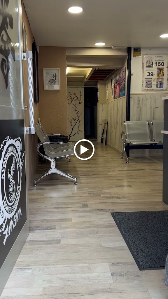 Dojo Zanshin — Videos
