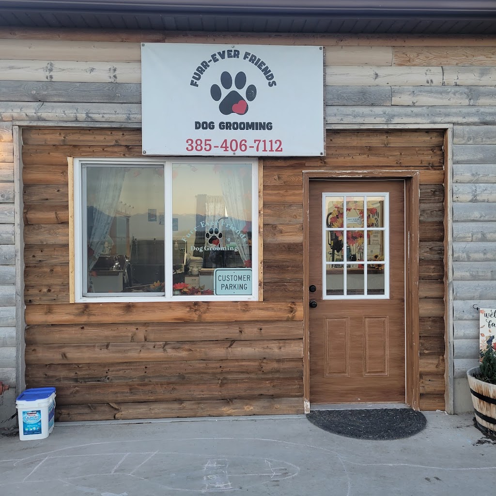 Pet groomer in Spanish-Fork