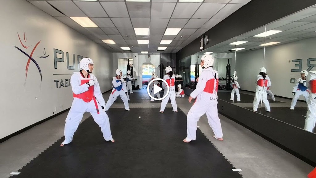  PURE TAEKWONDO