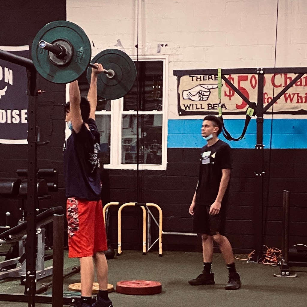  Power Performance Sport Training