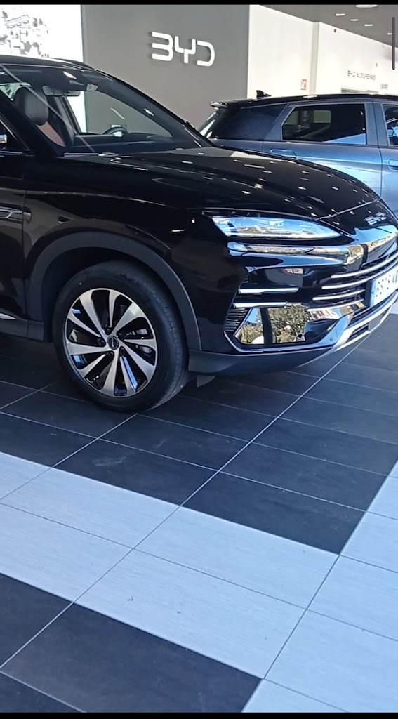 BYD Quadis Dream — Mas recientes