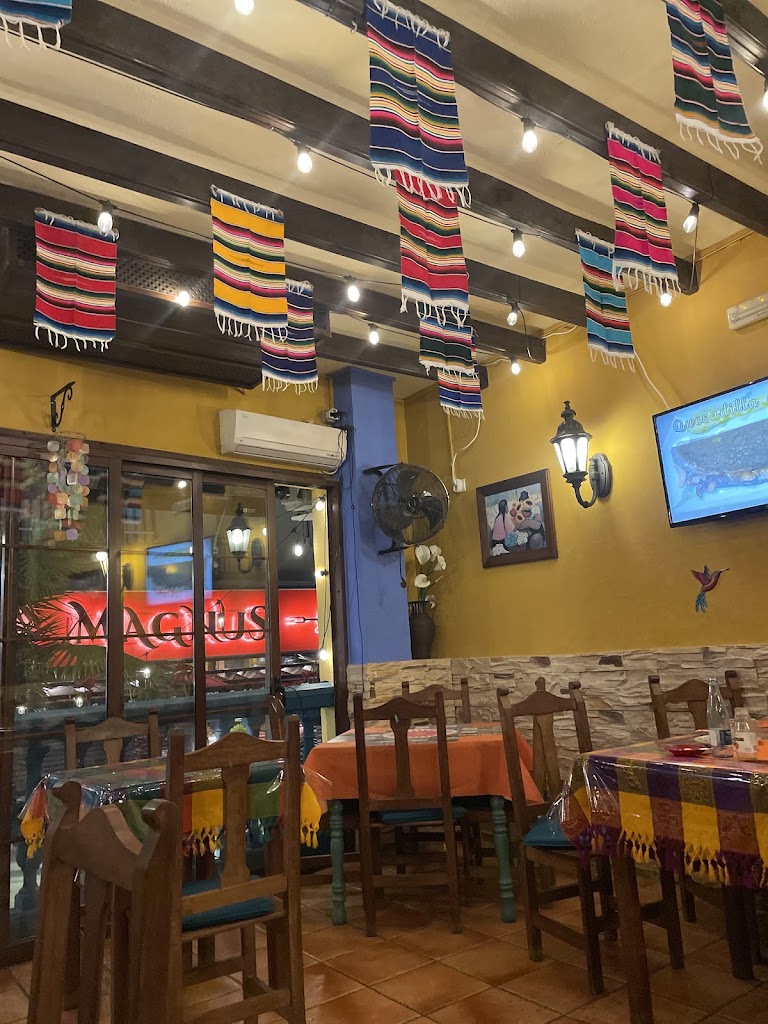 Cilantrito | Meson Mexicano — Mas recientes