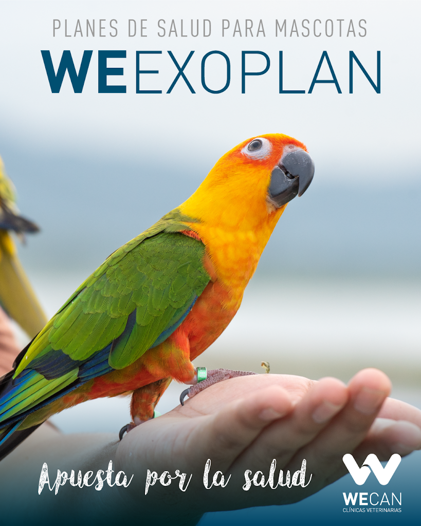 Clinica Veterinaria Wecan Cosmopet
