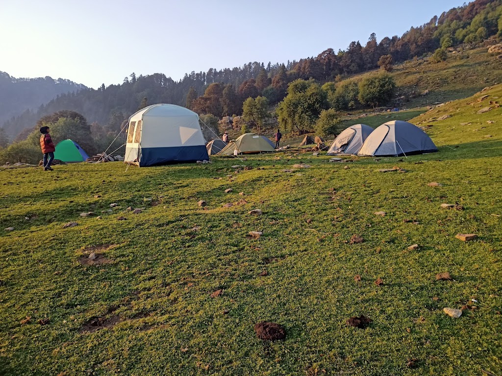 Bunga mata camping site