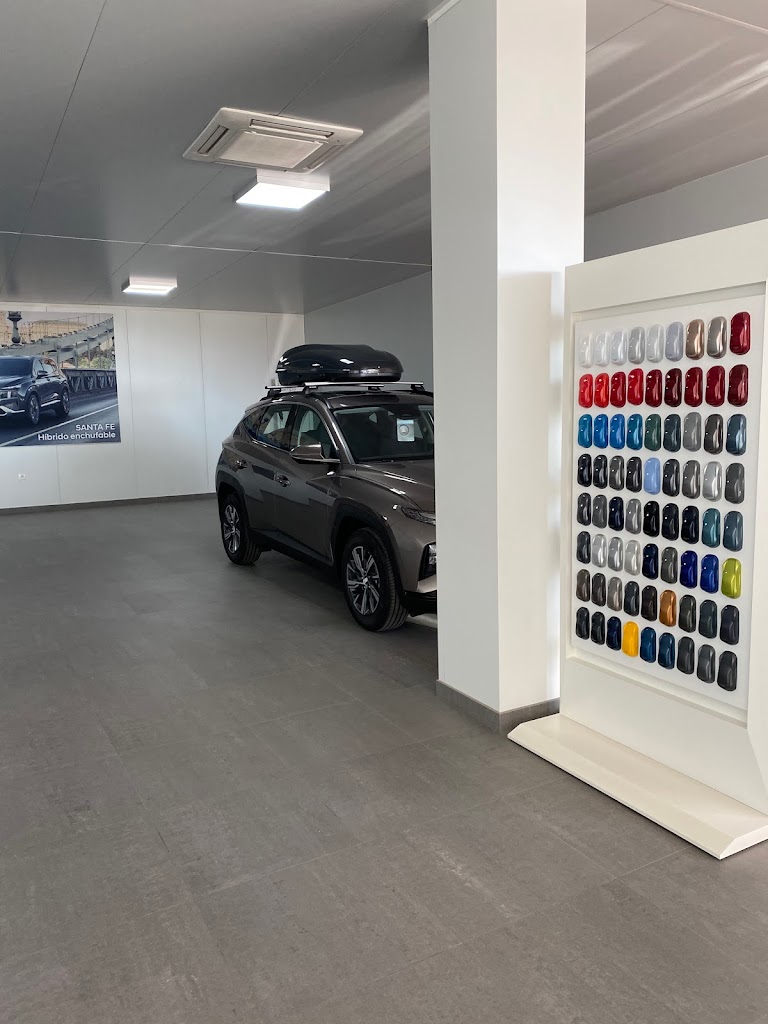 Hyundai at Gasmovil — Interior
