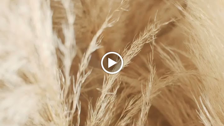  Ladies In Fitness Training - LIFT