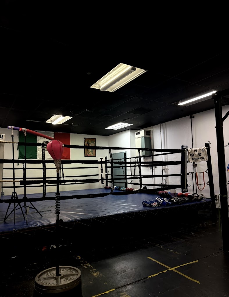  Clara Boxing Academy