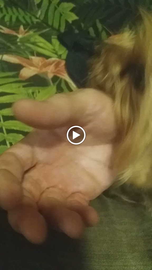 Aparcamiento Mercado Central S L — Videos