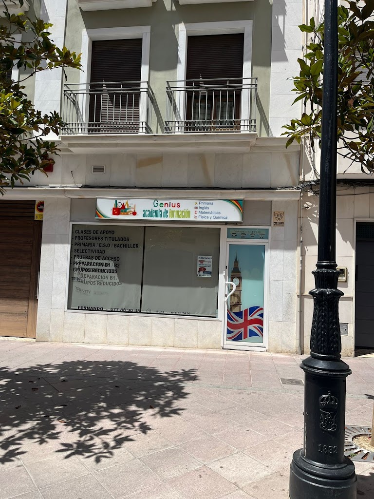 Academia de Formacion Genius