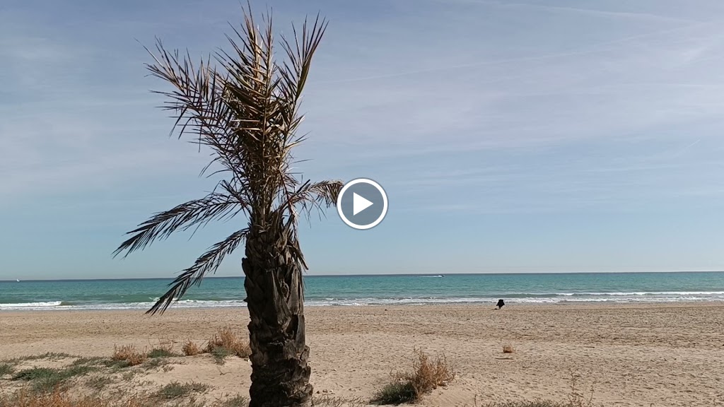 Restaurante Plenamar — Videos