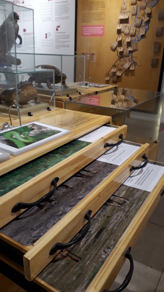 Museo Provincial de Ciencias Naturales "Florentino Ameghino"