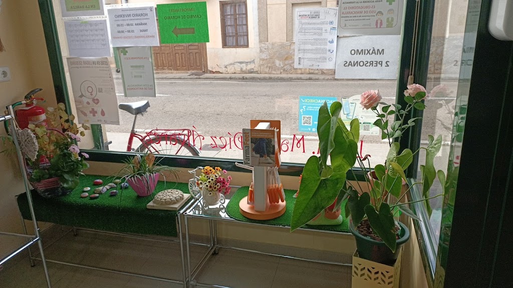 **Farmacia Maria Diez Alvarez**