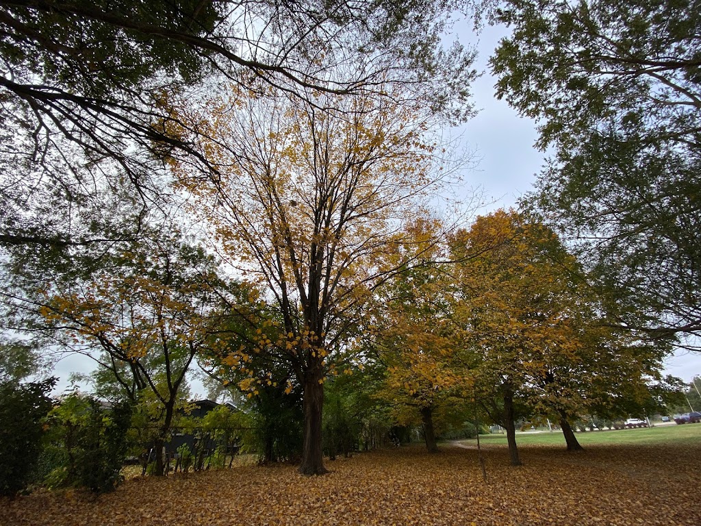 Klondike Park