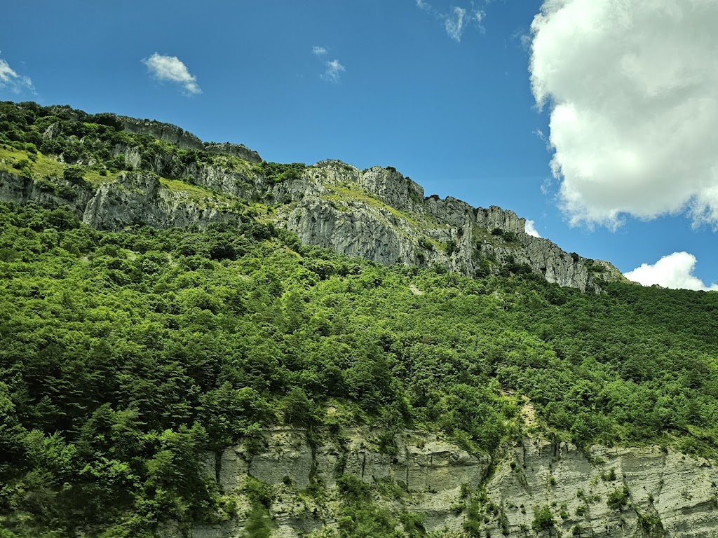 Sistema Iberico De Plagas S L