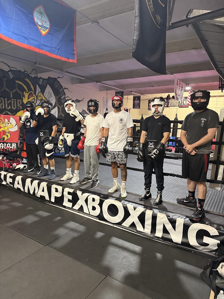  Team Apex Boxing