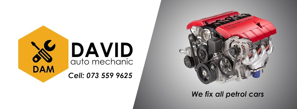 David Auto Mechanic In Randburg
