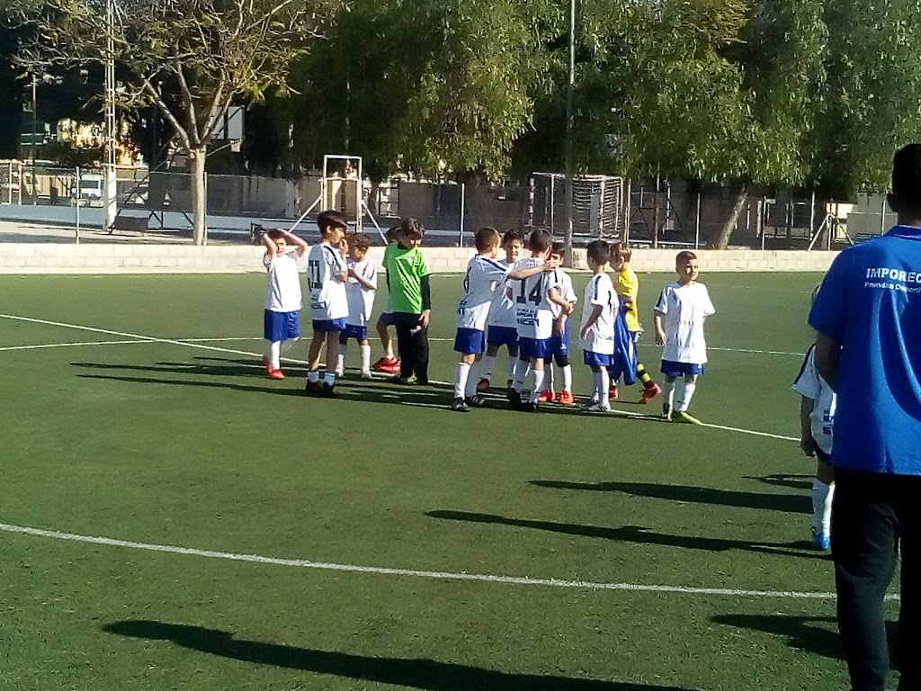 Campo De Futbol 8 De Callosa