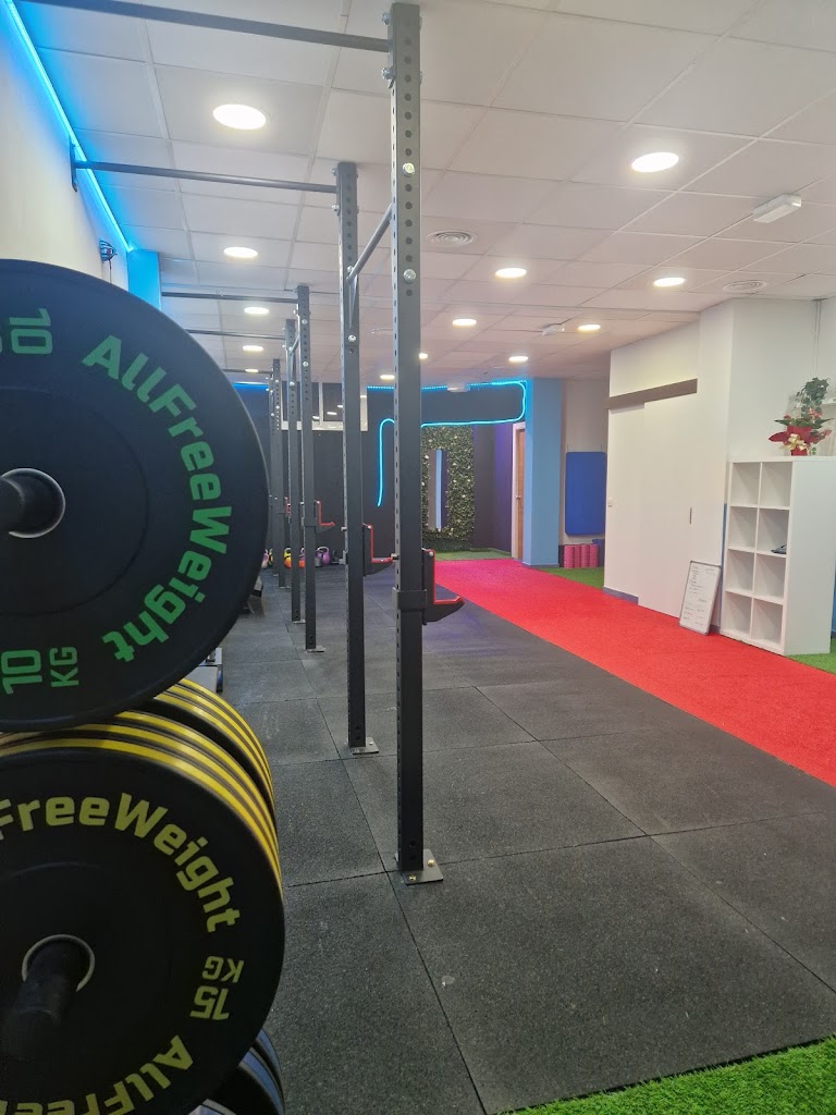 AM Training — Gimnasio