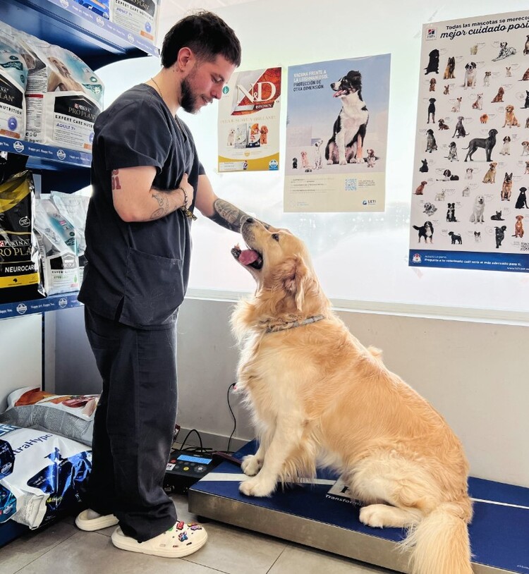 Clinica veterinaria plaza de Italia — Del propietario
