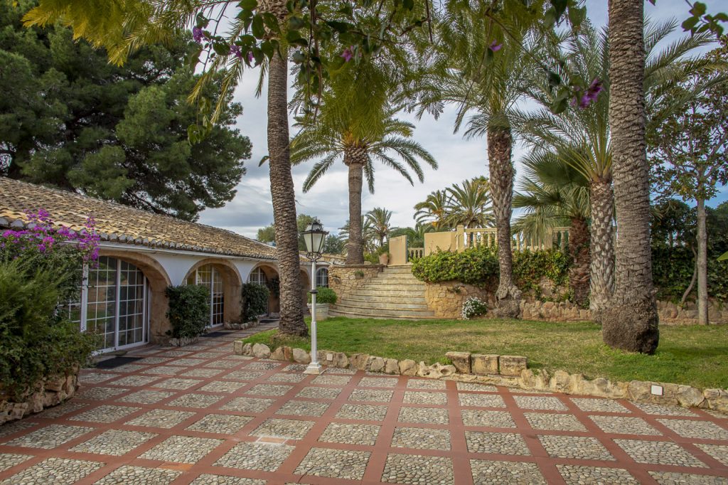 Academia Neerlandesa