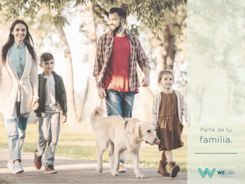 Clinica Veterinaria WECAN Segovia