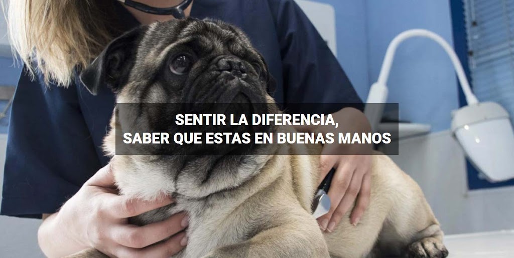 Clinica Veterinaria Sanus