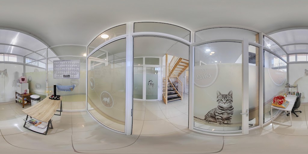 Street View y 360°