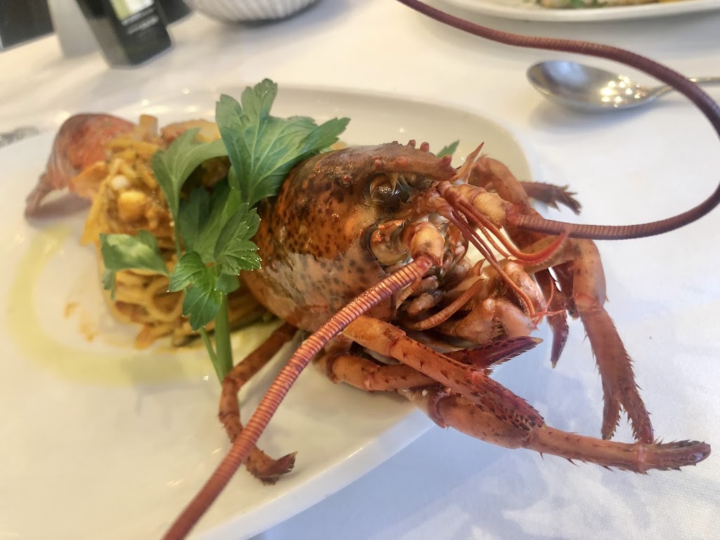 Lobster