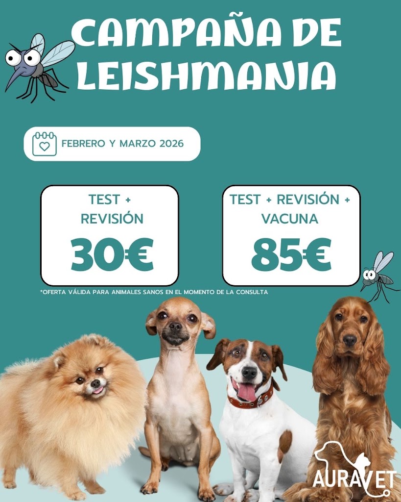 Clinica Veterinaria Auravet — Mas recientes