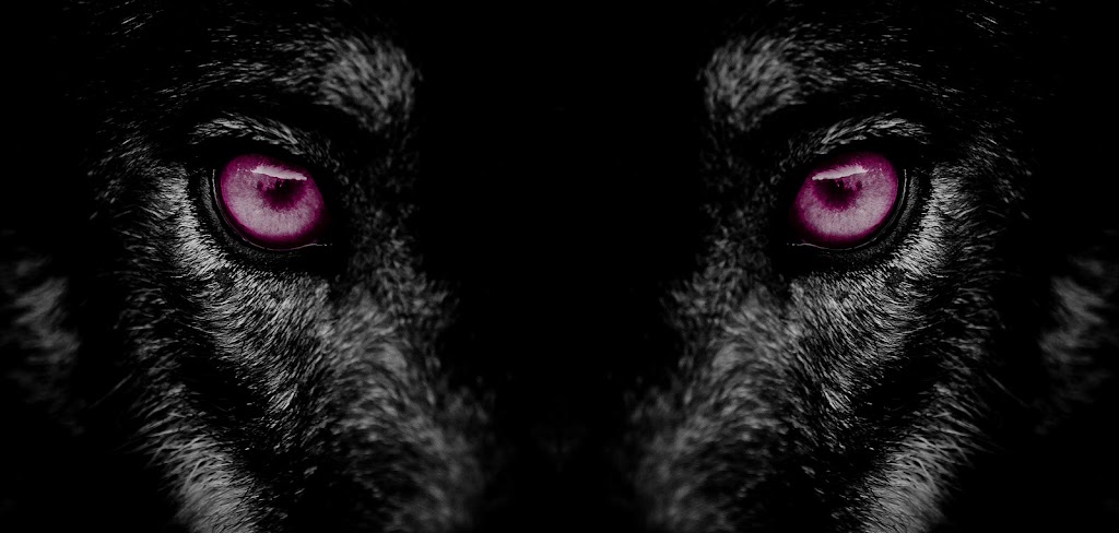 Koda Creative Group