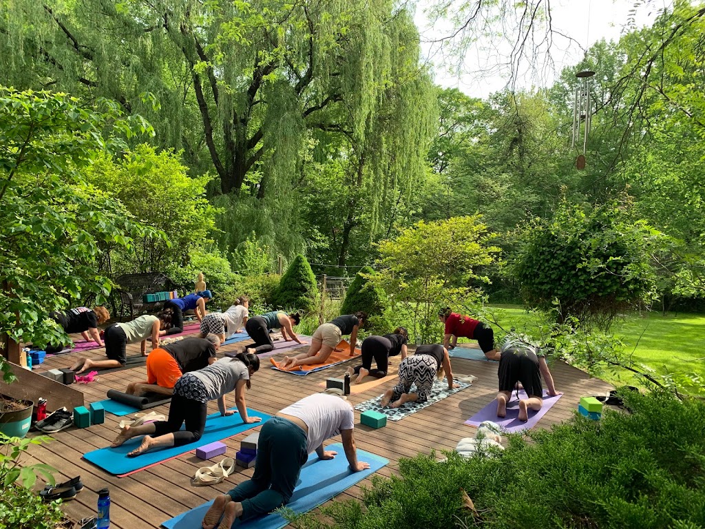  Willow Tree Yoga