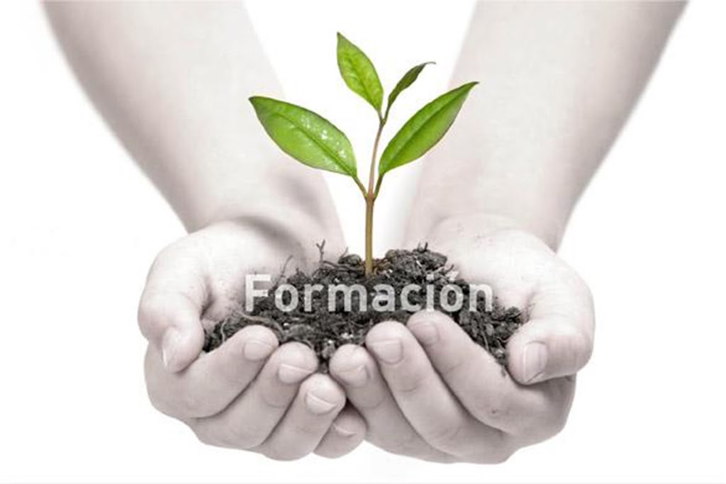 Agefor Formacion S.L.