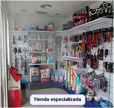 Centro Clinico Veterinario Animalicos — Del propietario