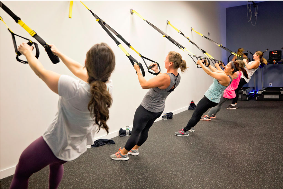  Evolve Cycle and Fitness