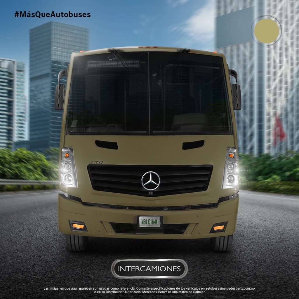 Camionera de Chihuahua — Camion