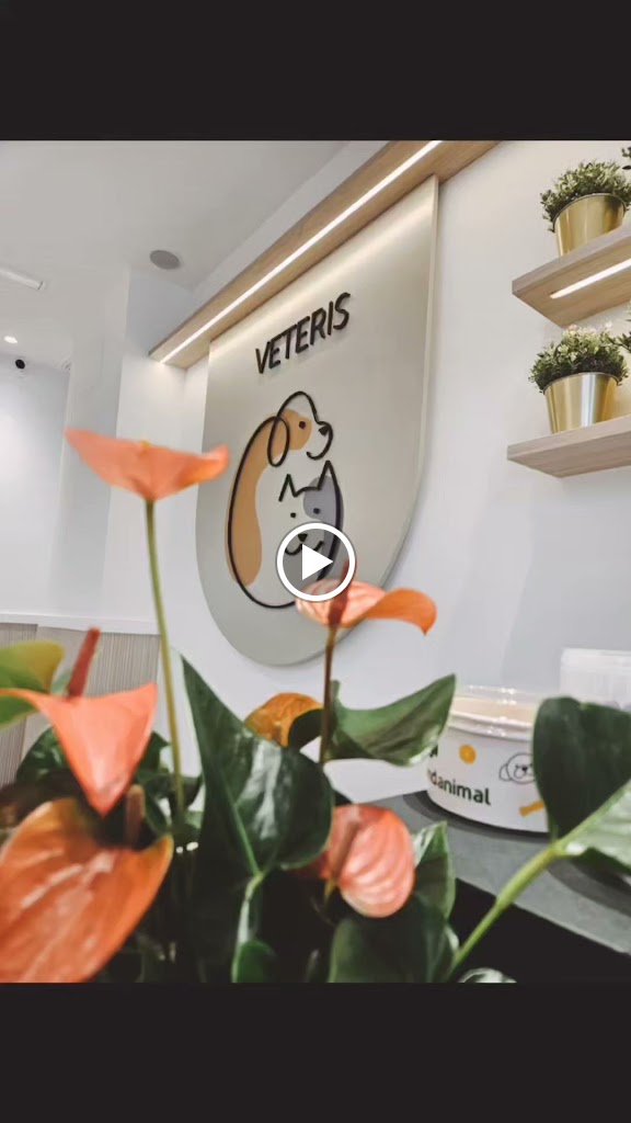 Centro Veterinario VETERIS Sitges — Del propietario