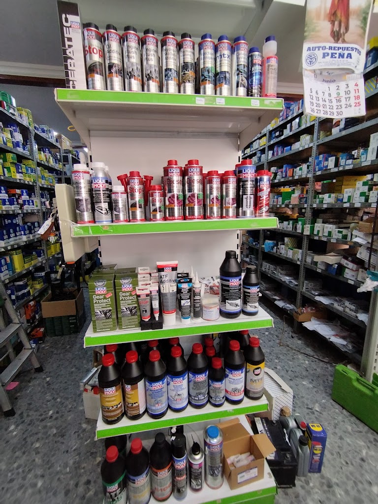 Autorepuestos y Talleres Pena — Interior