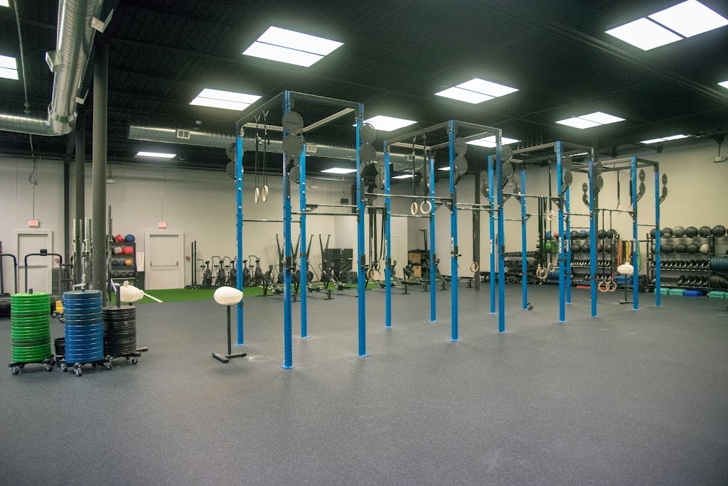  Prime Movement and Performance