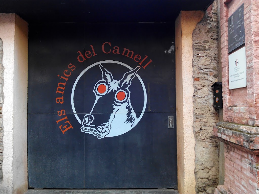 Amics del Camell