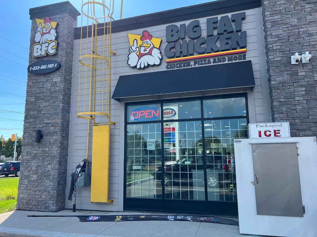 Big Fat Chicken